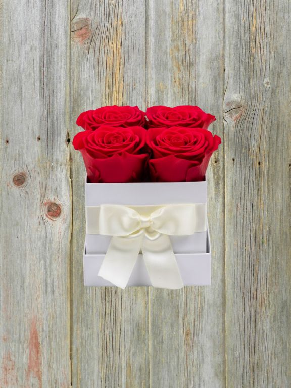 4 PRESERVED RED ROSE BLOOMS IN A BOX